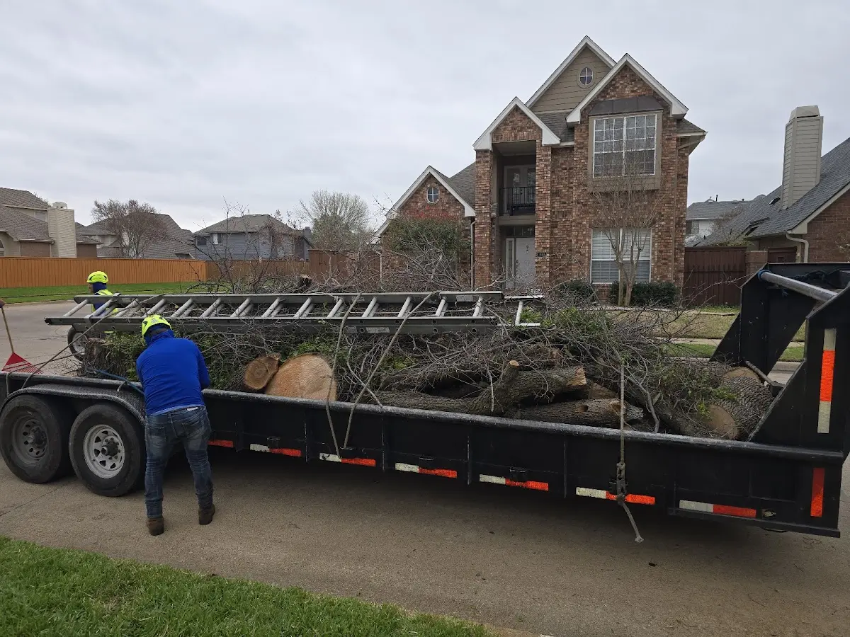 Expert Tree Pest Control with proper safety equipment in Marenisco